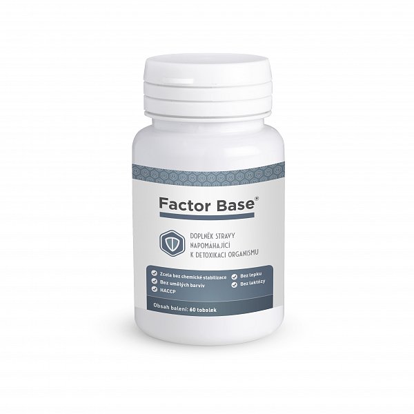Factor Base - bonus